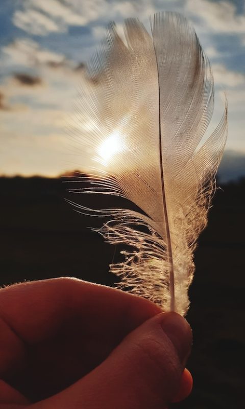 close-up-hand-holding-feather-against-sky-sunset