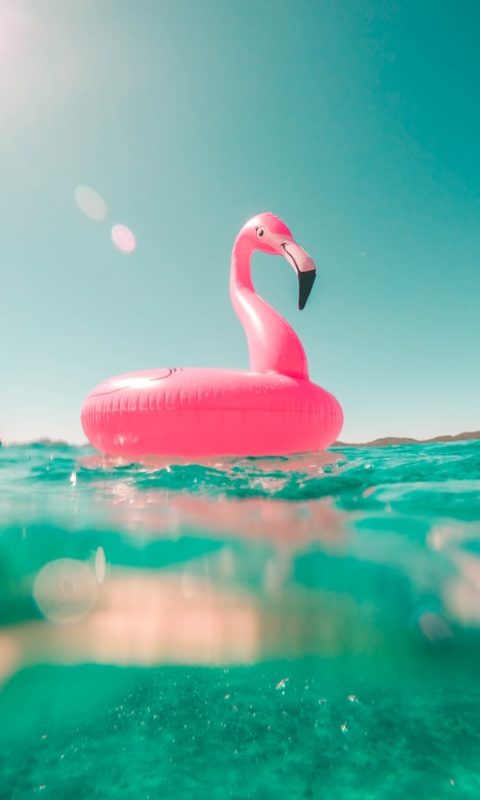 vicko-mozara-m82uh_vamhg-unsplash